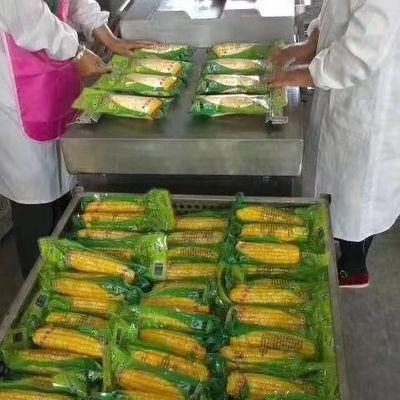 آلة تعبئة الفراغ ذات الغرفة المزدوجة SS304 DZ 500 DZ 600